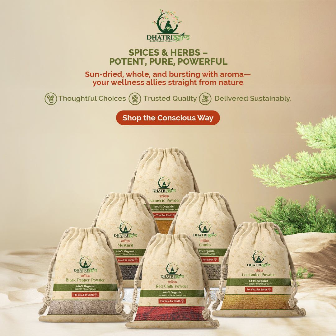 Handpounded Dhania Powder, 1 Kg | Organic Coriander Powder | Farm Fresh | Vegan | Low GI | Flavorful | Pesticide Free | Natural