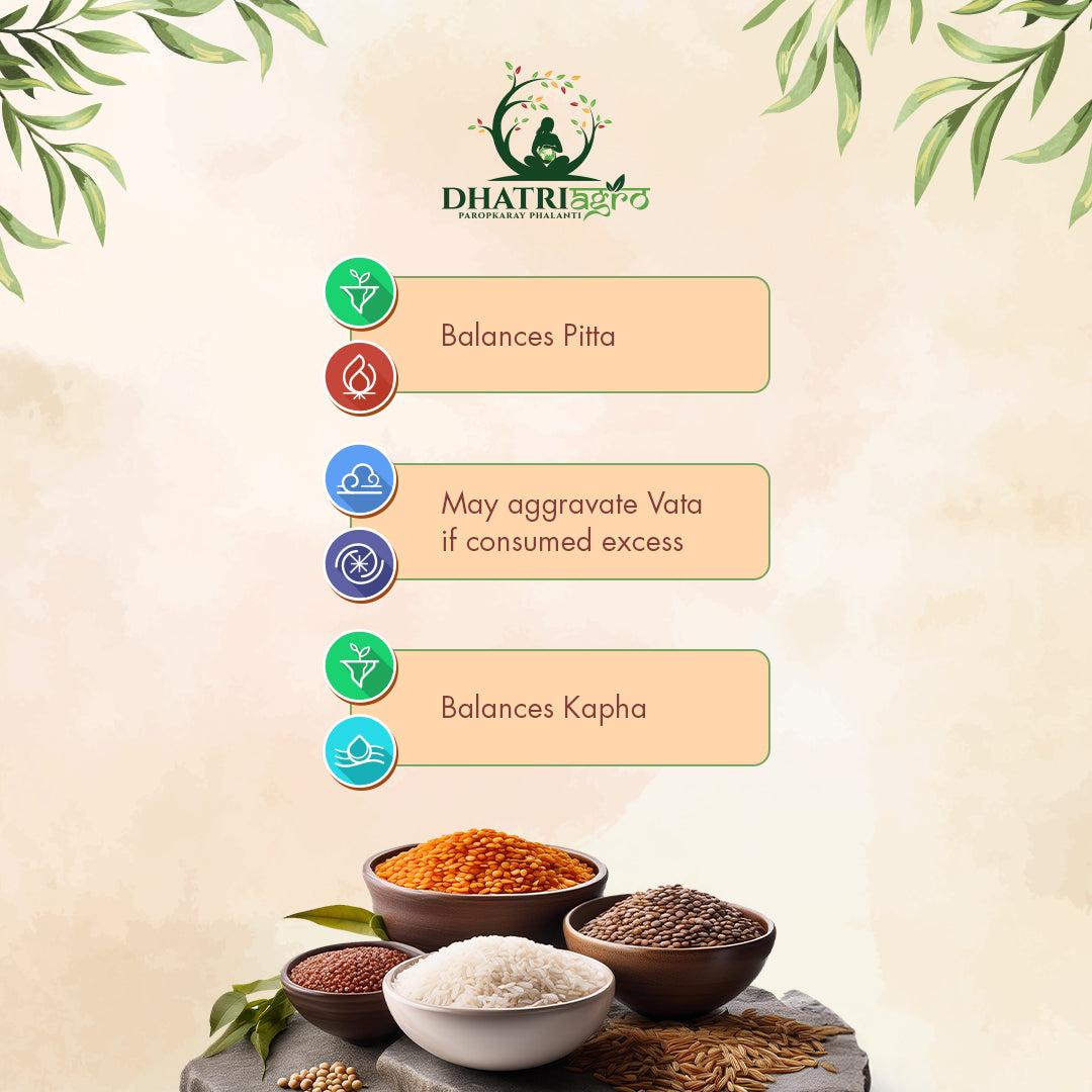 Unpolished Barnyard Millet, 1 Kg | Organic Sanwa/Samvat ke Chawal | Farm Fresh | Gluten Free | Low GI | Natural | Chemical Free